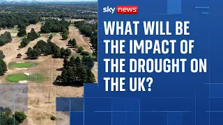 Why this record-breaking drought could have far-reaching consequences into the autumn