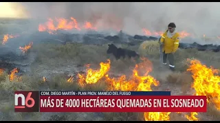 MÁS DE 4000 HECTÁREAS QUEMADAS EN EL SOSNEADO