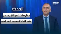 Imad Salamey: Tampa negotiations are for Hezbollah disarmament, not Israeli withdrawal