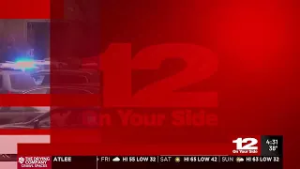 Flock cameras: how they work