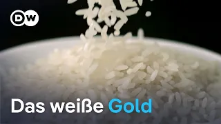 Wem gehört Basmati? EU vor schwieriger Entscheidung
