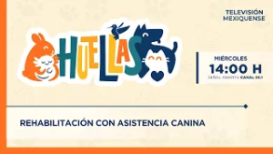 Rehabilitación con Asistencia Canina| Huellas | 04-03-26
