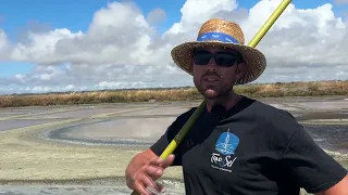 SALT HARVEST: A SUCCESSFUL SEASON