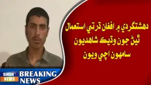 Dehshatgardi mein Afghan dharti istemaal thiyan jo wadhi shahdiyun sammoon achi wiyun