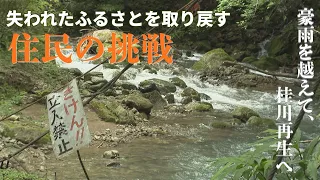 [Seiyo City, Nomura Town] Katsuragawa Valley: The Untouched Retreat Striving for Recovery