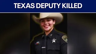 Texas deputy hit, killed by truck while on duty | FOX 7 Austin