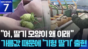 “무섭게 뛰는 기름값”…고유가 불똥에 농민 ‘울상’ / KBS  2026.03.06.