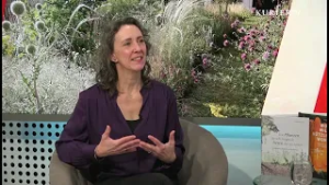 Wenn Gärten zu Ökosystemen werden: Die Kunst der Pflanzplanung