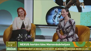 NEXUS: kortárs tánc Marosvásárhelyen – Mozaik