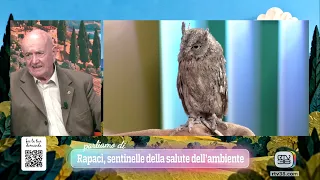 TADA' - Martedì 29.09.26 (seconda parte)