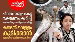 കൊടുത്ത വെള്ളം മുഴുവൻ മൂർഖൻ പാമ്പ് കുടിച്ചു | Cobra Rescue | Snakemaster EP 1165