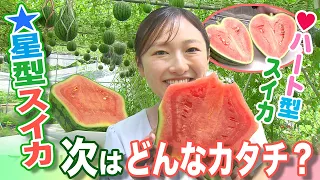 Star-shaped watermelon