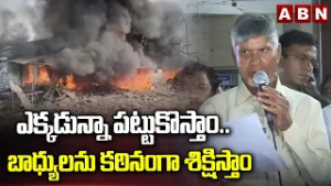 ఎక్కడున్నా పట్టుకొస్తాం..బాధ్యులను కఠినంగా శిక్షిస్తాం | CM Chandrababu Serious Comments | ABN