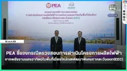 PEA Clarifies Investigation into Solar Power Project in New City Area (EEC)