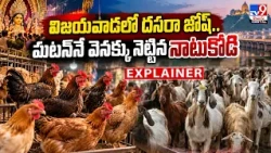 EXPLAINER : విజయవాడలో దసరా జోష్‌.. మటన్‌నే వెనక్కు నెట్టిన నాటుకోడి | TV9