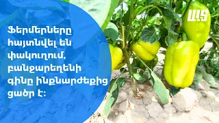 Բանջարեղենի իրացման ճգնաժամ
