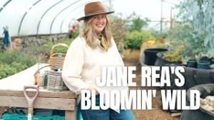 Tips for your strawberries this summer ?