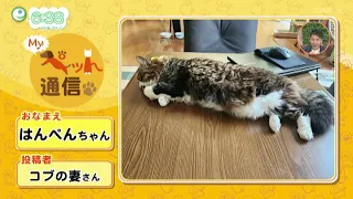 [Episode 120] Introducing Our Viewers' Cute Pets! "My Pet Report"