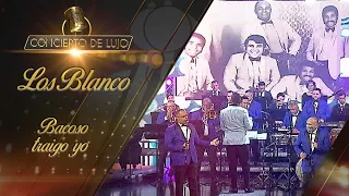 [Concierto de Lujo] – Orquesta Los Blanco – Bacoso Traigo Yo