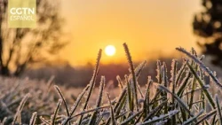 Cold Dew Arrives, One of China's 24 Solar Terms
