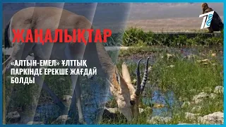 «Алтын-Емел» ұлттық паркінде ерекше жағдай болды