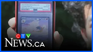 Pokémon card collector confronts card thieves