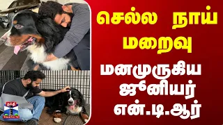 Junior NTR | Pet Dog | செல்ல நாய் மறைவு- மனமுருகிய  ஜூனியர் என்.டி.ஆர்
