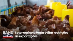 Poultry sector tries to avoid export restrictions | BandNews TV