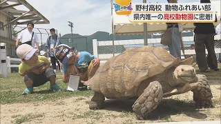 [Cheering for Youth] The Only High School Zoo in the Prefecture Is Now Open! Nomura High School A...