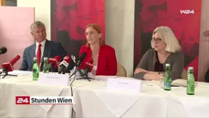 Elke Hanel-Torsch: Wer ist die neue Wiener SPÖ-Stadträtin?