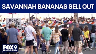Minneapolis hosts Savannah Bananas games in front of sold-out crowds