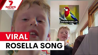 Sydney boy's rosella song becomes global hit | 7NEWS