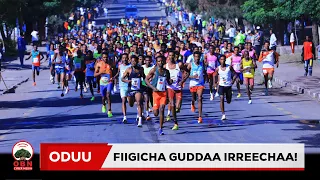 Fiigicha Irreechaa Lammaffaa