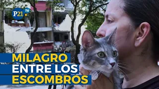 MIRACLE AFTER COLOMBIA EARTHQUAKE: Polux, a cat trapped in the rubble, is rescued alive