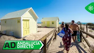 Andalucía Directo | Camposoto, a pristine beach in the Bay of Cádiz Natural Park