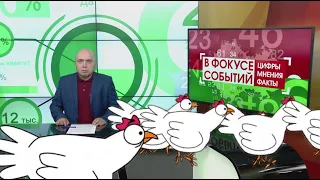 09/04/2026 Focus on Events: REGISTERING YOUR CHICKENS