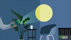 Bestrijding chikungunya vertraagd door ontbrekende middelen