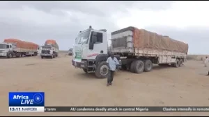 First aid convoy heads to Suda’s South Kordofan State