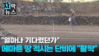 [Subtitled News] "How we've waited for this": A 'welcome rain' soaks the parched land