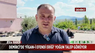Demirci'de 'Figan-i Efendi Eriği' yoğun talep görüyor