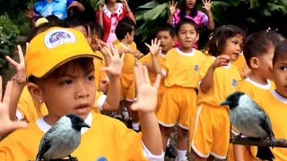 Lagu anak HHK - Burung kutilang