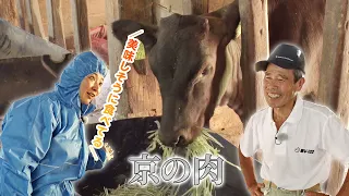 JA Kyoto "Kyo no Niku" Yasushi Shinagawa (Miyazu City) | KBS Kyoto TV "Agri Kyoto" Broadcast Augu...