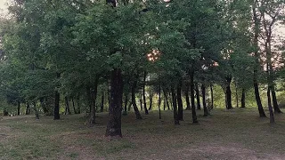 A New Summer at Parco Roccolo