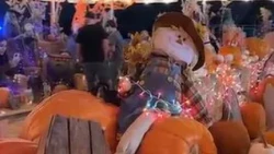 Inside look: How Vegas Pumpkin Patch prepares weeks of family fun
