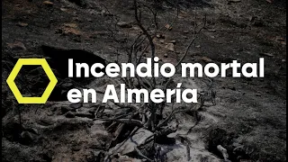 El incendio en Los Gallardos entra en una nueva fase tras poder "atacar" el fuego - laSexta Noticias