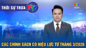 Thời sự Phú Thọ trưa 1/3/2026 | Các chính sách có hiệu lực từ tháng 3/2026
