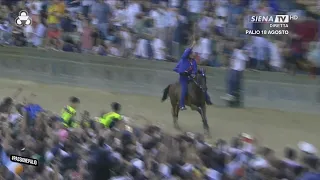 PALIO DI SIENA 18 AUGUST 2026 THE NICCHIO CONTRADA WINS