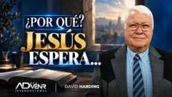 David Harding: Why? Jesus is waiting...