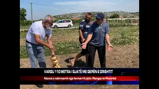 VARGU 110 METRA I GJATË ME QEPËN E DRISHTIT