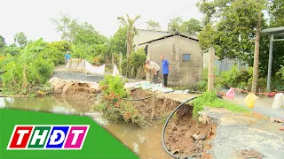 Đồng Tháp chủ động ứng phó sạt lở | THDT